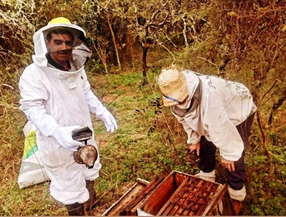  Entre Ríos refuerza controles sanitarios para proteger su liderazgo en apicultura
