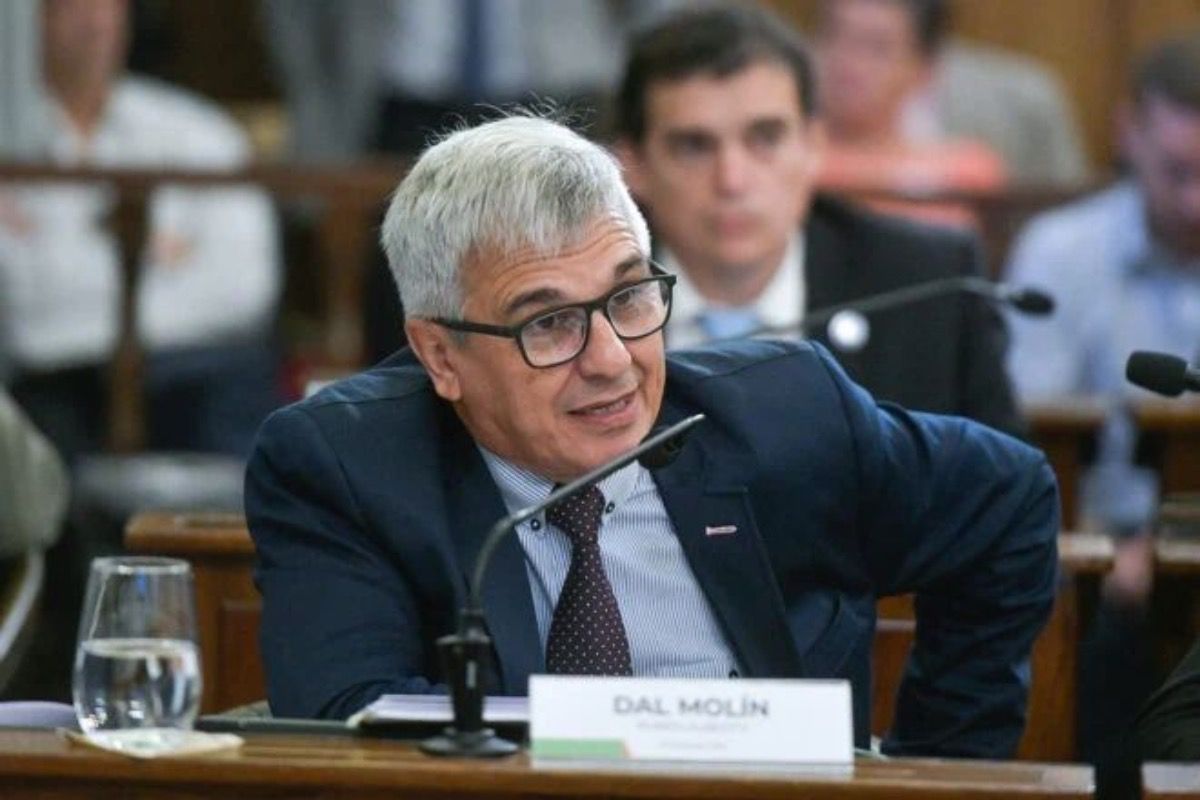  Senador Dal Molin: “Por fin la Legislatura va a poder saber en qué se gastaron miles de millones”