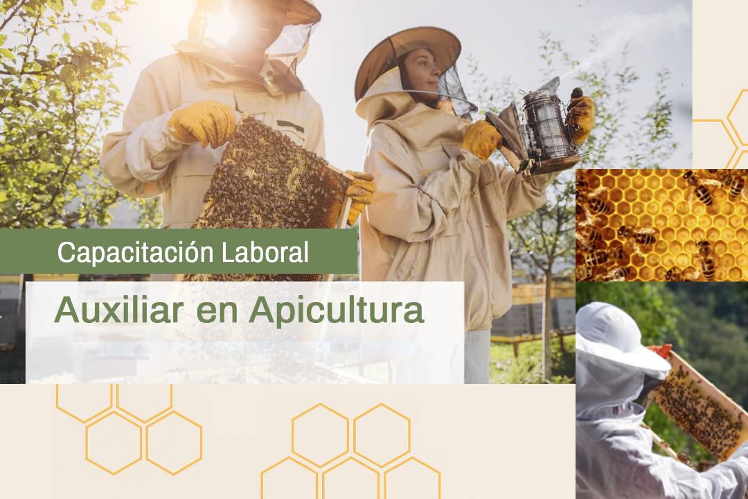  Comienzan las capacitaciones laborales de Auxiliar en Apicultura en distintos departamentos