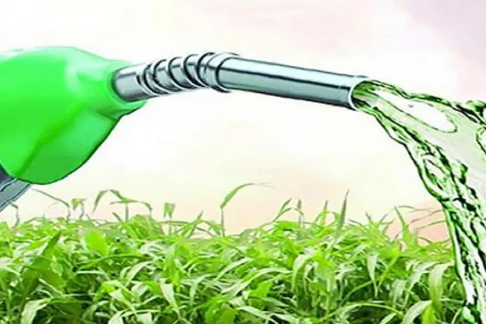  El Gobierno oficializó los nuevos precios de los biocombustibles