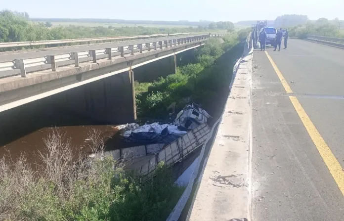  Cayó un camión a un arroyo en Entre Ríos y hospitalizaron al conductor