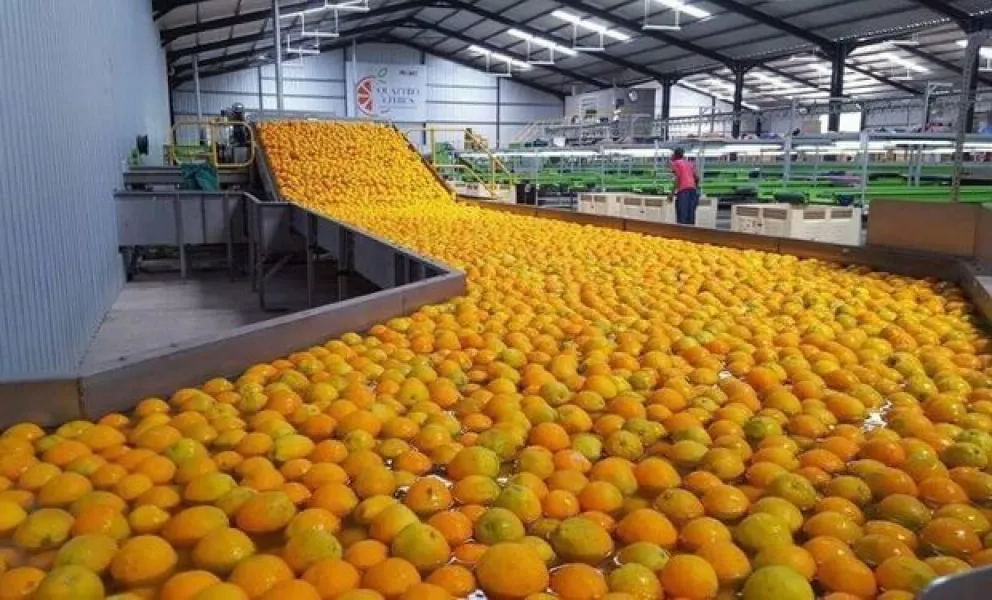  La citricultura entrerriana se prepara para la 43° Jornada Citrícola Nacional