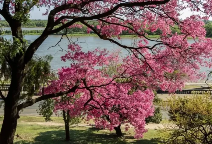  Comienza una semana con temperaturas que irán en aumento y llegarán a los 30 grados
