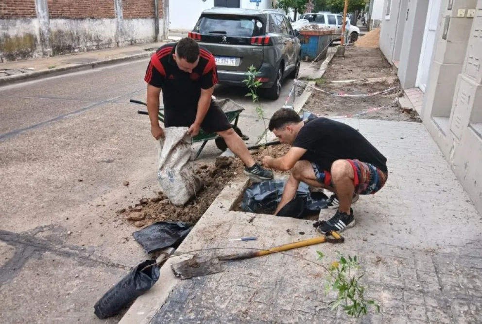  El Municipio de Concepción del Uruguay plantó 200 nuevos árboles este año