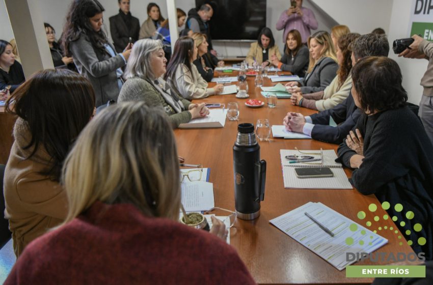  Dictamen favorable al proyecto de incentivos tributarios para la actividad comercial