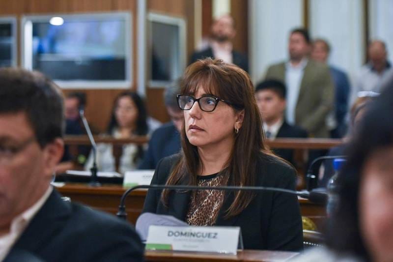Domínguez: “La responsabilidad política consiste en actuar antes de que el problema sea irreversible”