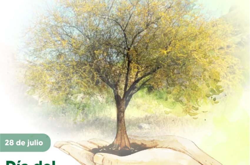  Municipio de Cerrito: 28 de julio “Día del Árbol Entrerriano”