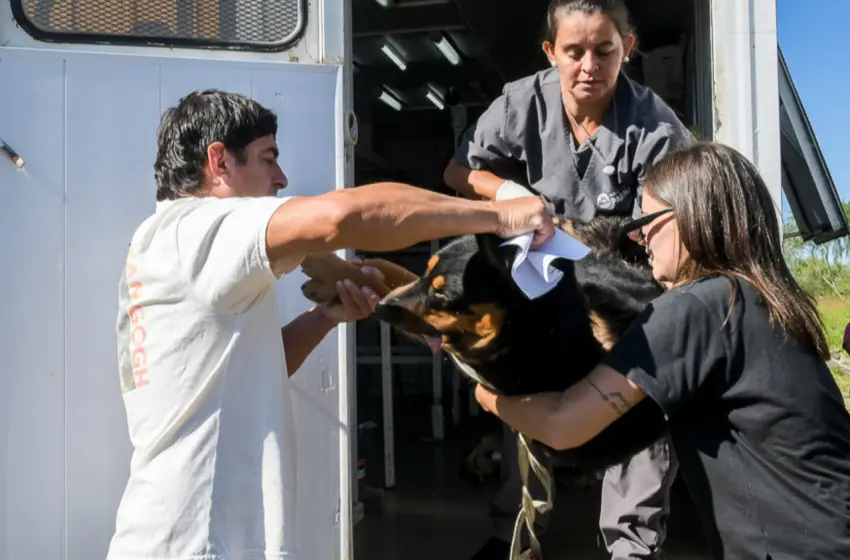  El quirófano móvil continúa con castraciones gratuitas en nuevos puntos