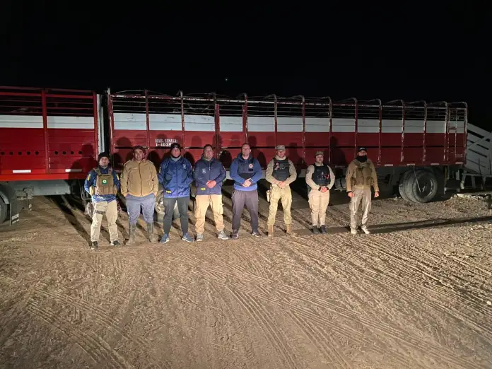  En Córdoba: Recuperaron 100 vacas que habían sido parte de una millonaria estafa