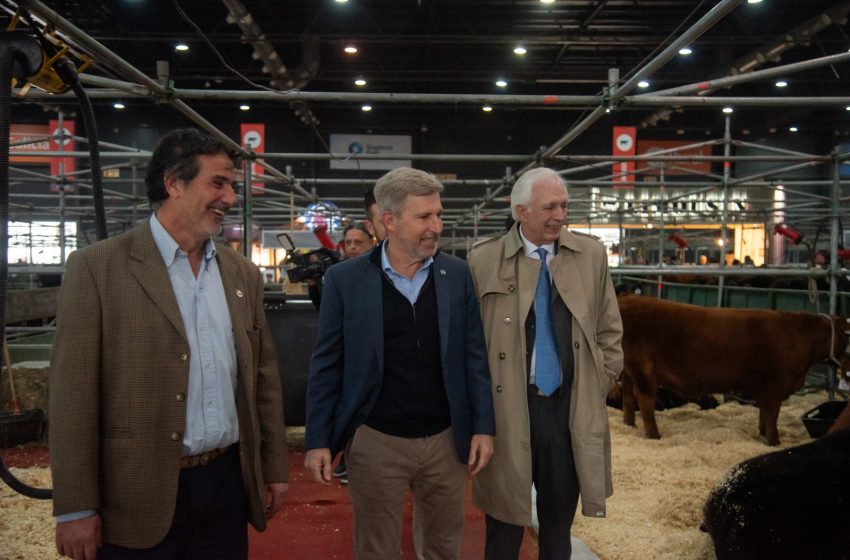 Frigerio lanzó un seguro multirriesgo para proteger la producción de maíz