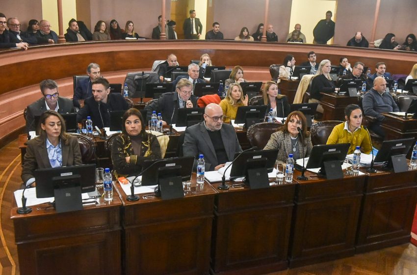  El justicialismo se abstuvo de votar la ley “de alivio fiscal” que el sector comercial había considerado “irrelevante, estéril y carente de efectividad”