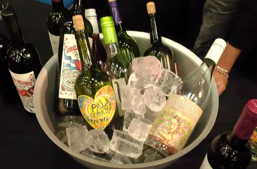  Paraná Wine 2026 reunió a más de mil personas y 70 bodegas en el Centro Provincial de Convenciones