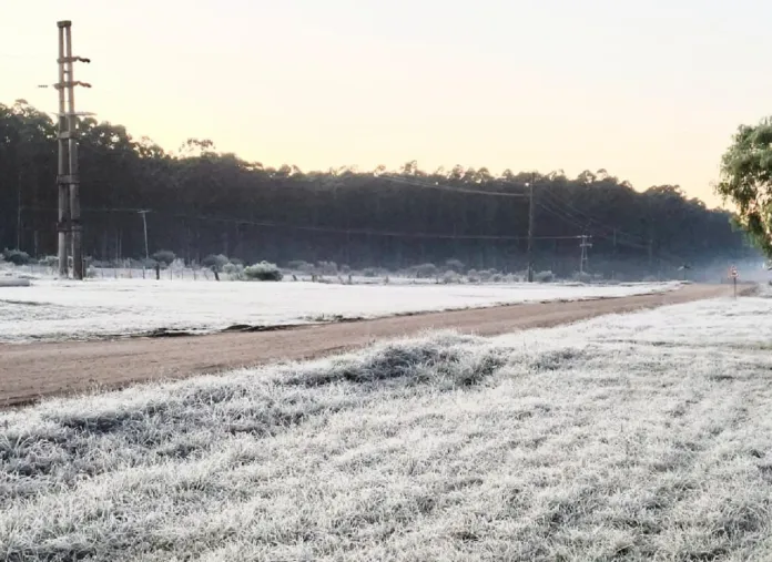  Entre Ríos amaneció este viernes con -2°C y alerta meteorológico por frío: El pronóstico para el resto del día