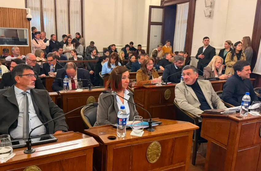  El Senado entrerriano dio media sanción al proyecto de reforma previsional