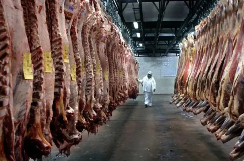  Carne vacuna: La Sociedad Rural de Entre Ríos apoya el aporte voluntario al IPCVA