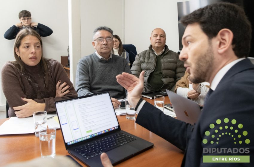  Comisiones de Diputados avanzaron en proyectos de transformación digital, en un reconocimiento por Malvinas y patrimonio provincial
