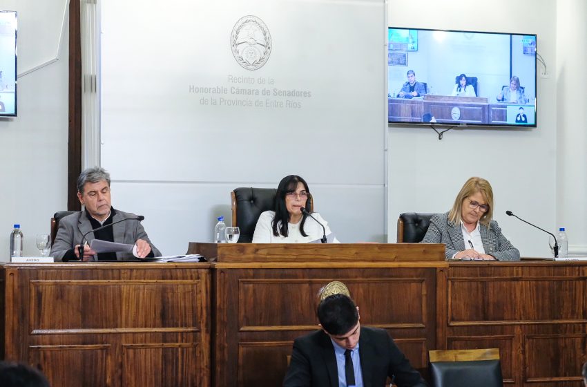  El Senado convirtió en ley la reglamentación del artículo 60 de la Constitución
