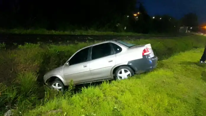  Despistó tras esquivar un perro que se le cruzó