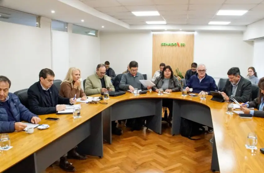  Trabajo en Comisiones: dictamen favorable para tres proyectos de ley