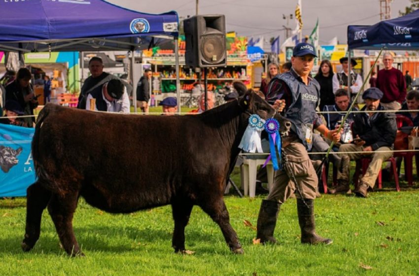 El gobierno dio cuenta de su gestión en la inauguración de la expo rural de Villaguay