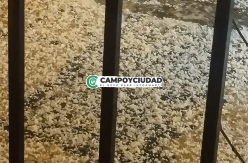  Tiempo en Entre Ríos: Emitieron alerta amarillo para gran parte de la provincia