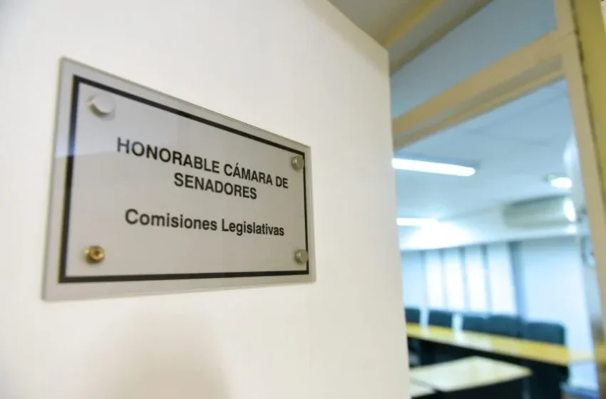  Senado entrerriano: Comisiones, audiencias públicas y llamado a sesión