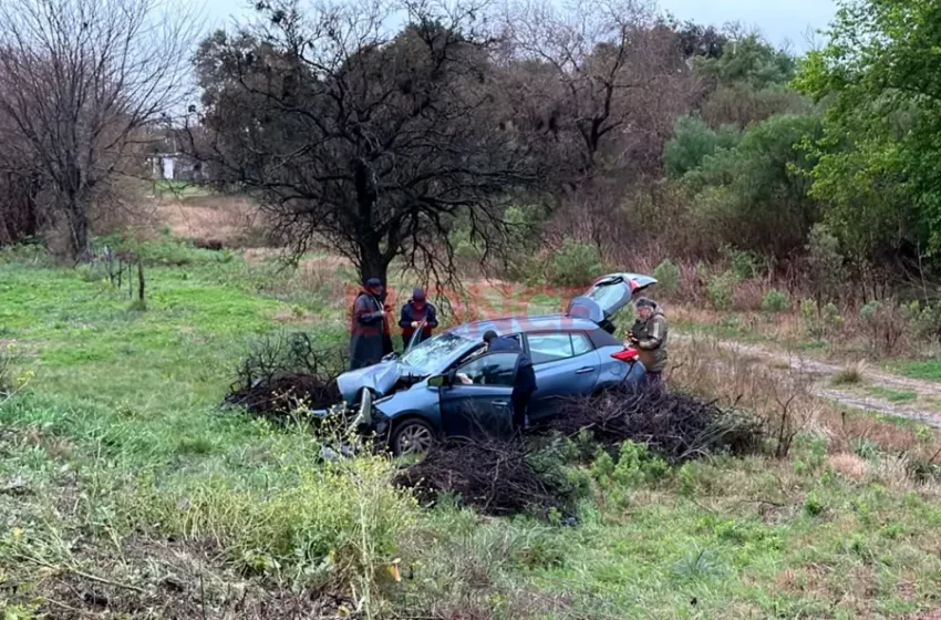  Perdió el control del auto, chocó contra un árbol y terminó en la banquina en Paraná