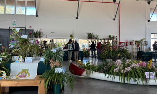  Paraná fue sede de la segunda muestra “Orquídeas en el Río”