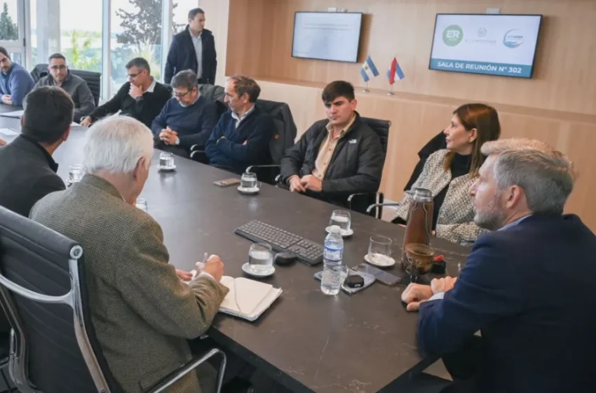  El gobierno provincial gestionará ante Nación un alivio en las tarifas eléctricas para el sector foresto-industrial