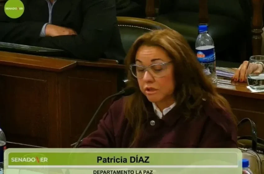  Tras la expulsión de su esposo Daniel Rossi del PJ, la senadora Patricia Díaz abandonó el bloque