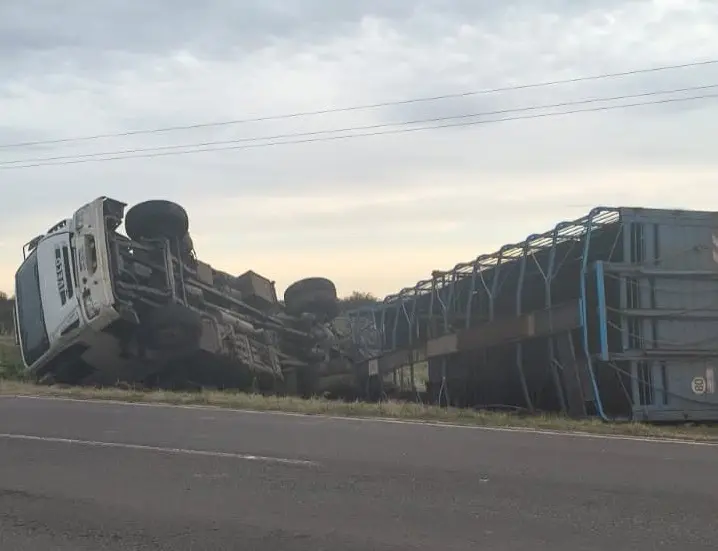  Gualeguay Sexto Distrito: Camión que transportaba vacunos tumbó en la Ruta Nº 11