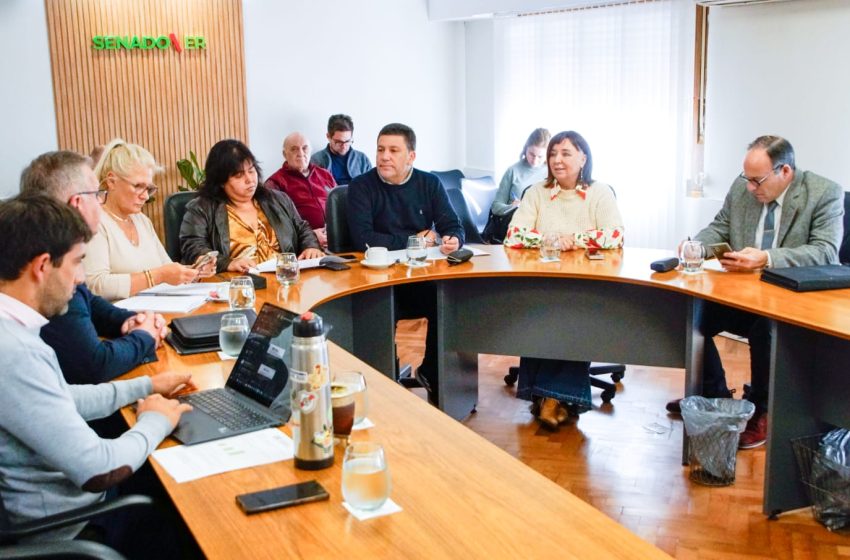  Senadores escucharon al ministro de Planeamiento por la modificación de la ley de Obras Públicas