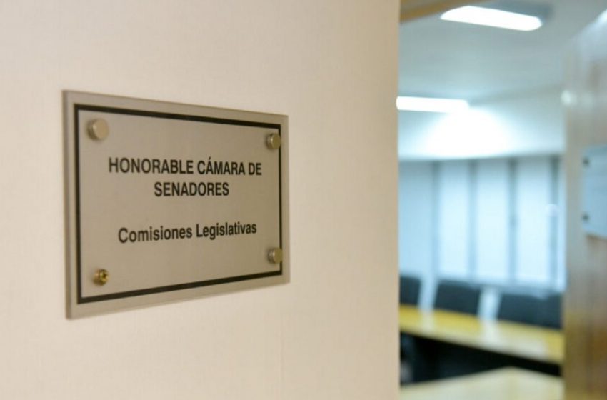  Senadores se reunirán en comisiones y fueron convocados a sesionar