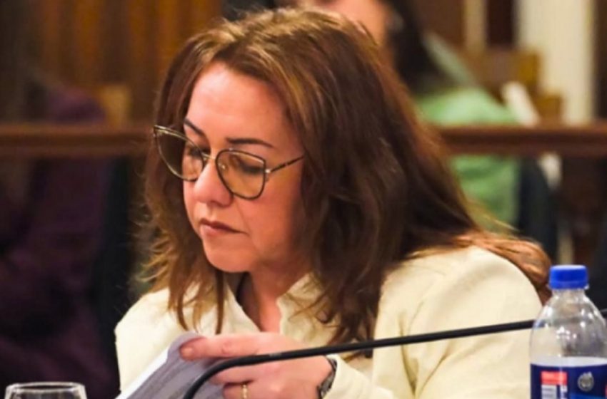  La senadora  provincial Patricia Díaz presentó proyecto para modernizar el régimen de los partidos políticos provinciales y municipales