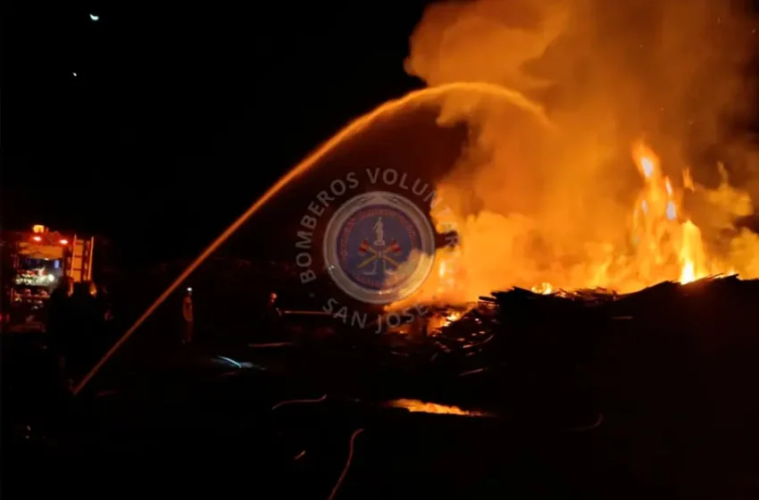  Bomberos de tres cuarteles combatieron un incendio en un depósito de madera de San José
