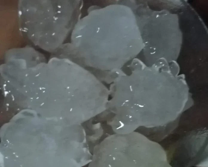  Un temporal de granizo causó graves destrozos en Misiones