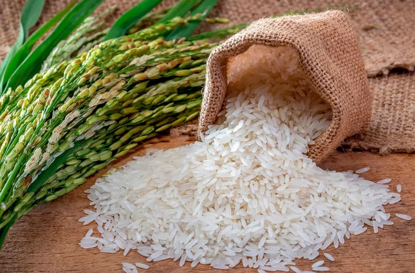  Crearon el sello “Arroz Entrerriano”: Qué requisitos deberán cumplir los productores