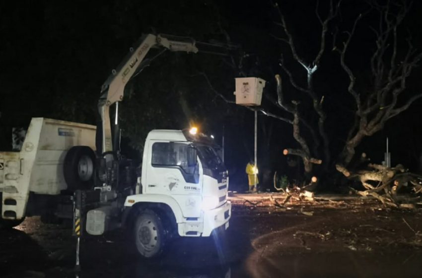  Santa Elena: rápida respuesta municipal ante la tormenta